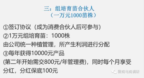 鴻信源代理制度詳解 如何通過代用茶宣傳提升免疫力并實現(xiàn)創(chuàng)業(yè)共贏